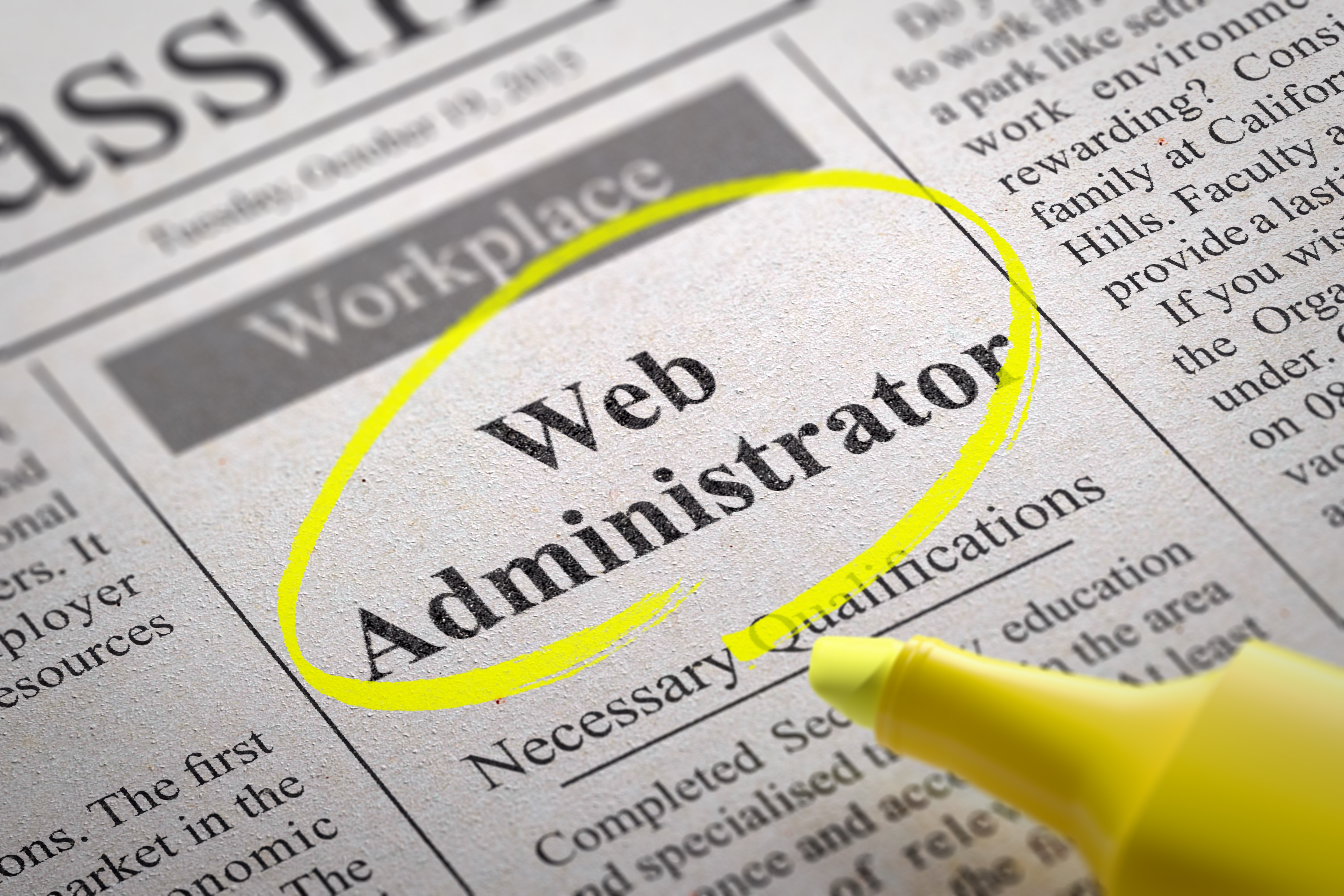 Need a Web Admin?